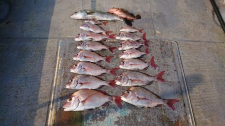 FISHING RISKY 釣果