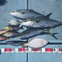 清和丸 釣果