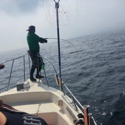 海友丸 釣果