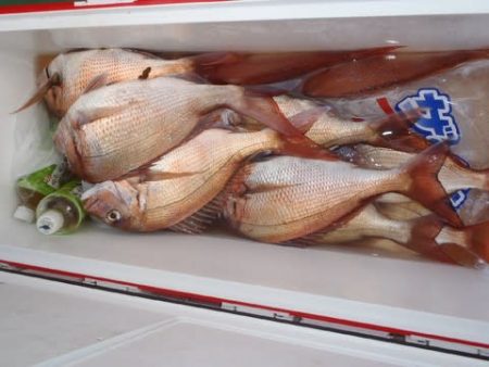 第二むつ漁丸 釣果