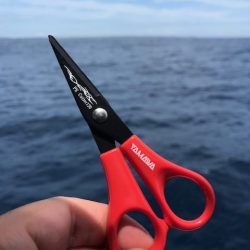 へいみつ丸 釣果