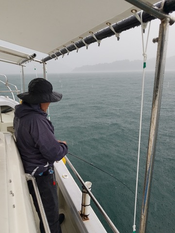 遊漁船 ニライカナイ 釣果