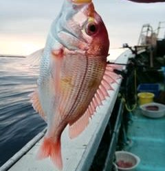 松福丸 釣果