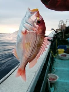 松福丸 釣果