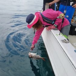 遊漁船 ニライカナイ 釣果