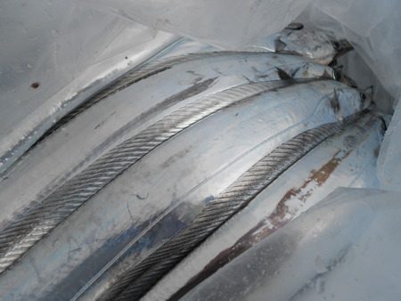 こうゆう丸 釣果