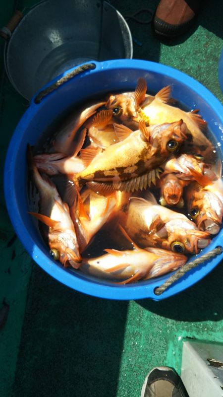 モンロー号 釣果