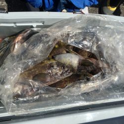 第八平成丸 釣果