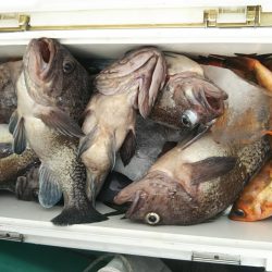 モンロー号 釣果