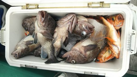 モンロー号 釣果