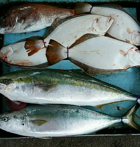 明神釣船 釣果
