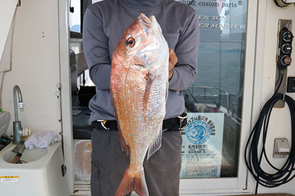 松本釣船２ 釣果