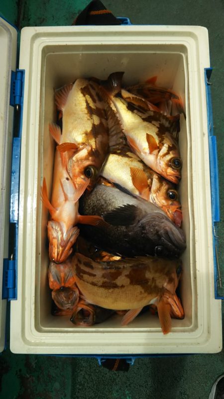 モンロー号 釣果