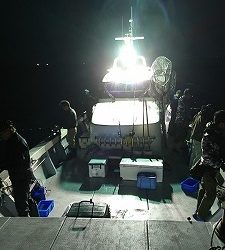 海龍丸（福岡） 釣果