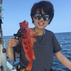 マタウマリンサービス 釣果