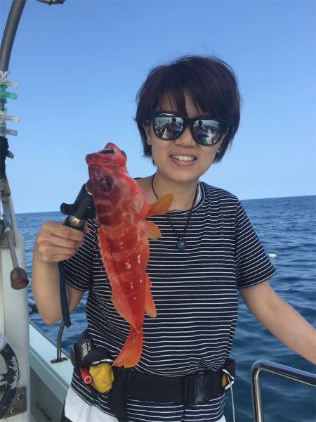 マタウマリンサービス 釣果