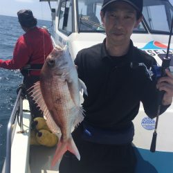 マタウマリンサービス 釣果