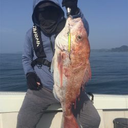 マタウマリンサービス 釣果