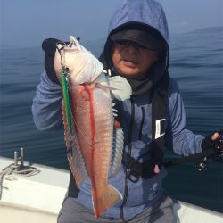 マタウマリンサービス 釣果