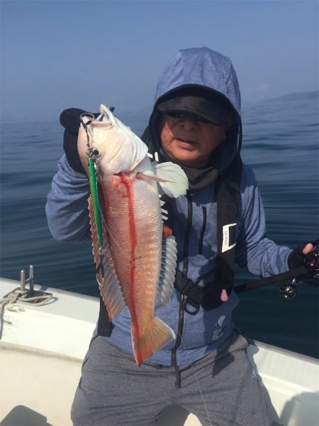 マタウマリンサービス 釣果