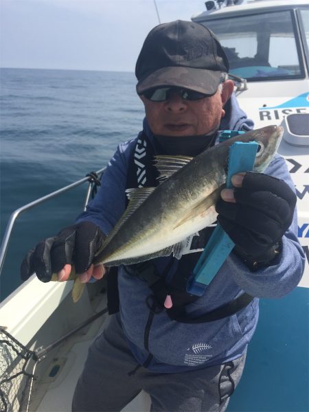 マタウマリンサービス 釣果