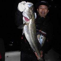 ルアー船マヒマヒ 釣果