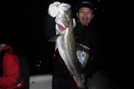 ルアー船マヒマヒ 釣果