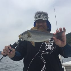 マタウマリンサービス 釣果