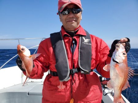 ブルーピア 釣果