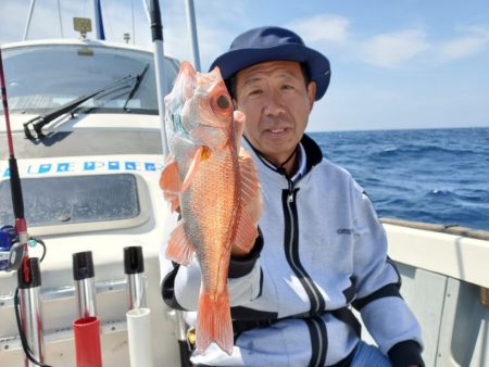ブルーピア 釣果