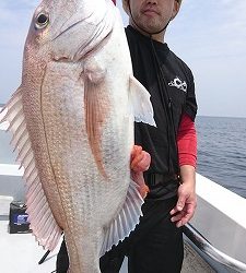 海龍丸(福岡) 釣果