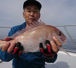 海龍丸(福岡) 釣果