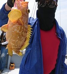 海龍丸(福岡) 釣果