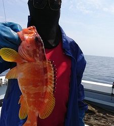 海龍丸(福岡) 釣果