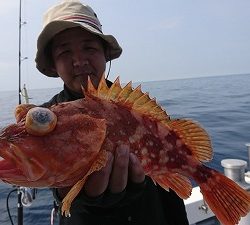 海龍丸(福岡) 釣果