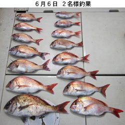 来温丸(らいおんまる) 釣果