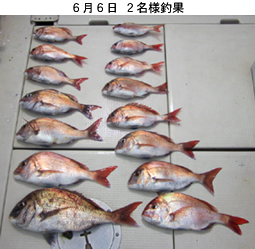 来温丸（らいおんまる） 釣果
