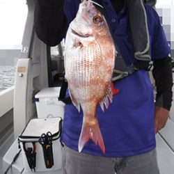 松本釣船2 釣果