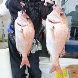 松本釣船２ 釣果