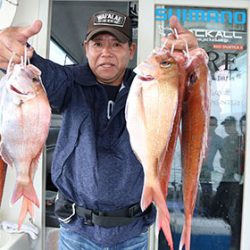 松本釣船２ 釣果