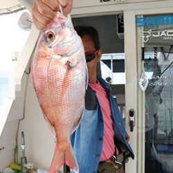 松本釣船２ 釣果