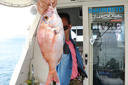 松本釣船２ 釣果