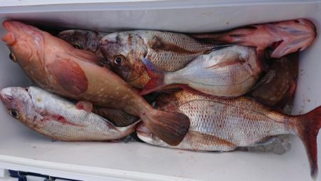 オーフリー 釣果