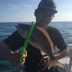 マタウマリンサービス 釣果