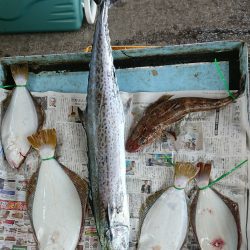明神釣船 釣果