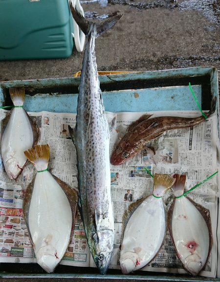 明神釣船 釣果