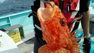 長栄丸(静岡) 釣果