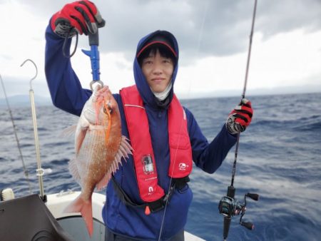 ブルーピア 釣果