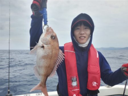 ブルーピア 釣果