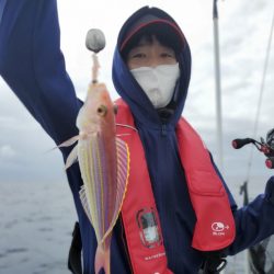 ブルーピア 釣果